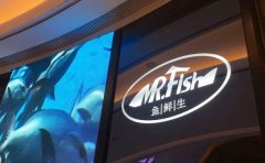 Mr.fish鱼鲜生海鲜主题餐厅品牌介绍