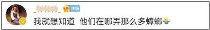  山东一对情侣自带蟑螂3天敲诈5400余元，9家知名餐厅中招！