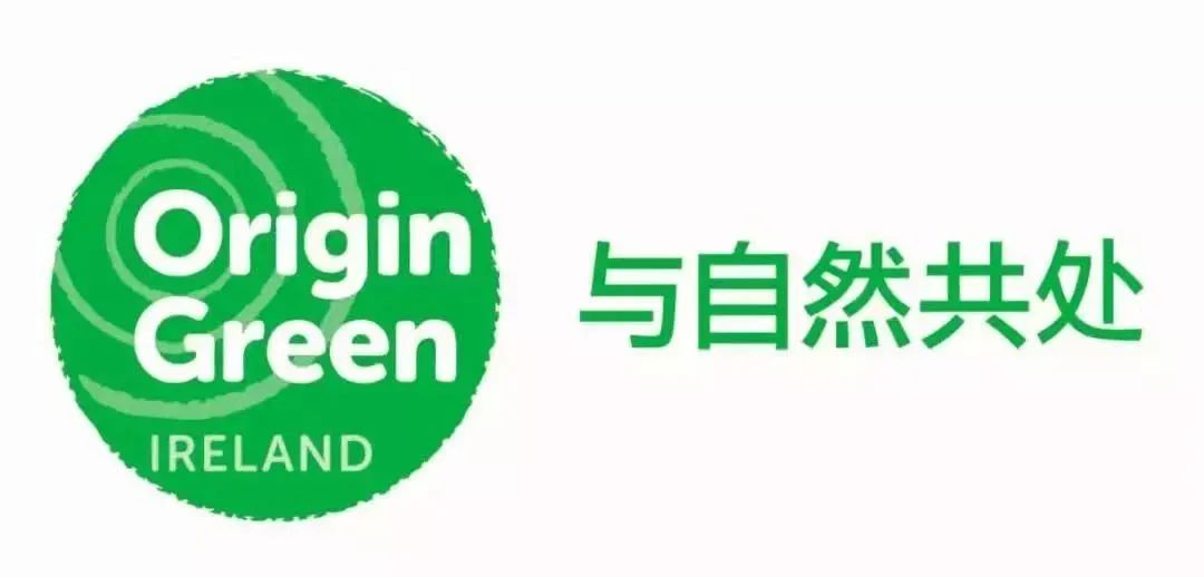  健康环保型食材走俏，餐饮人该如何抓住这股健康风潮？