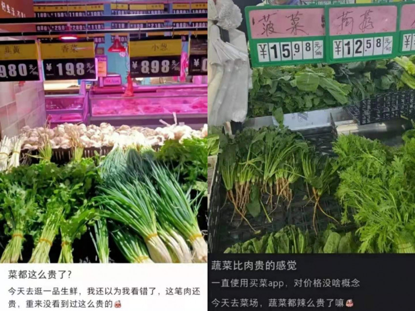 蔬菜贵到吃不起，菜农却血本无归，钱到底被谁赚走了？