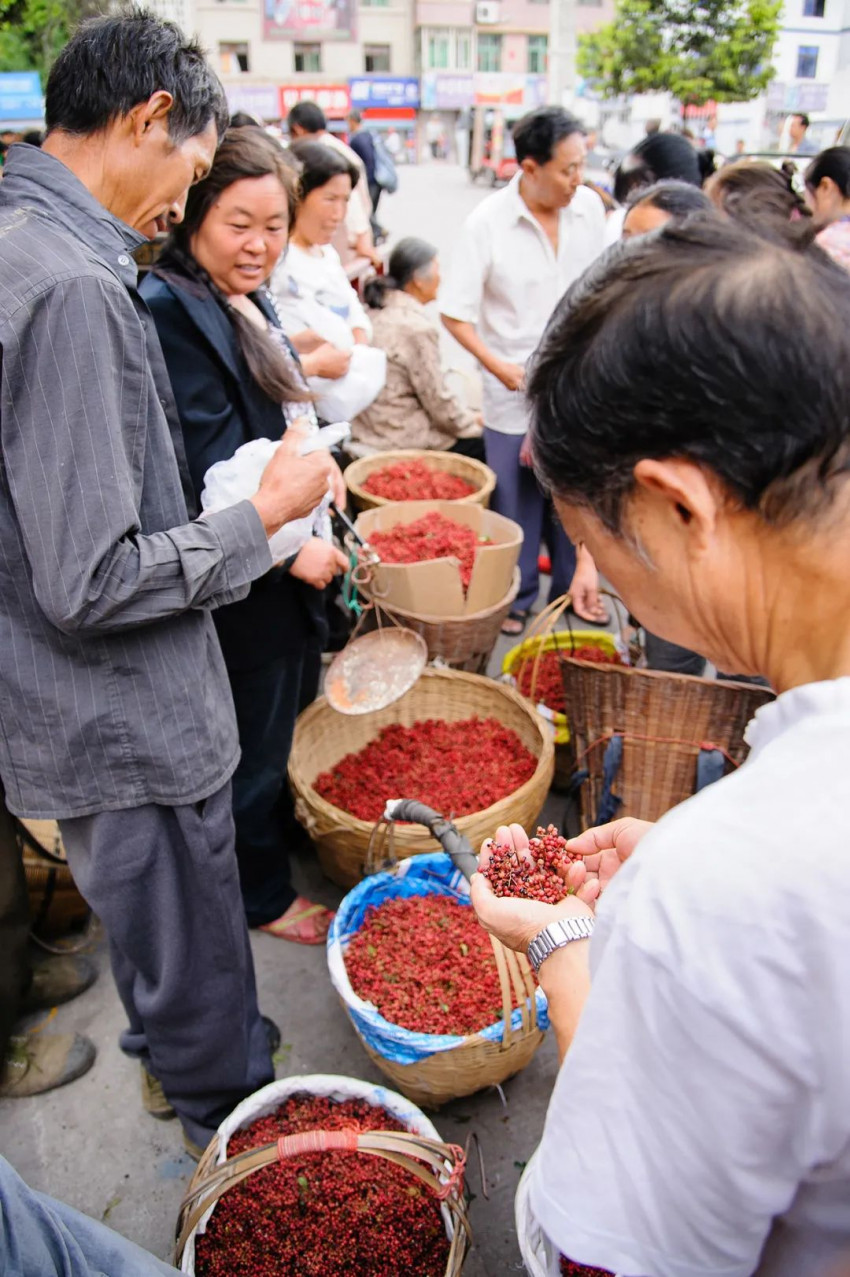 蔡名雄：从花椒风味模型到川菜出海