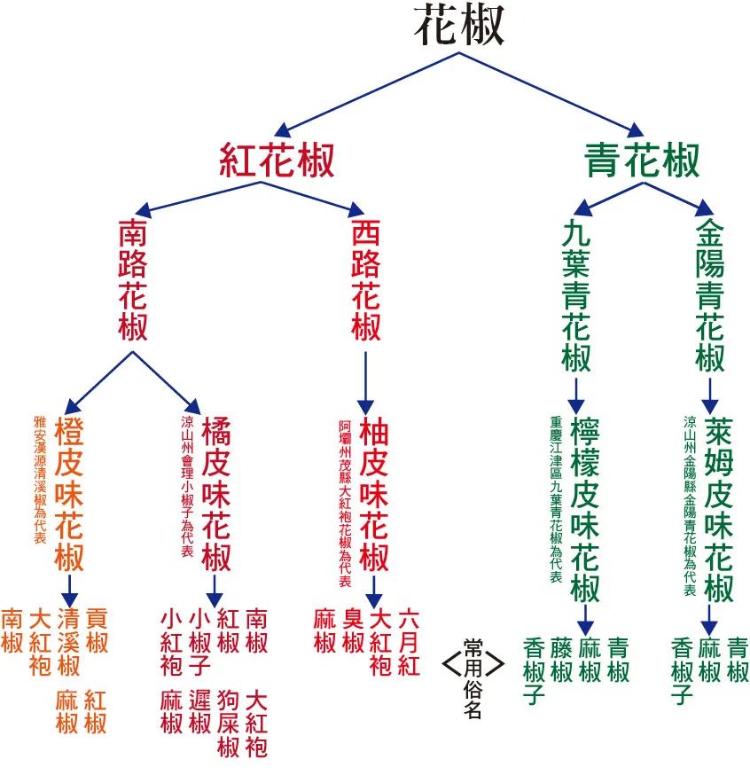 蔡名雄：从花椒风味模型到川菜出海