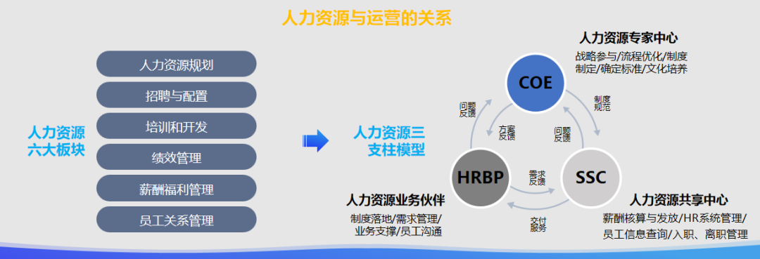 微海咨询CEO朱小聪：连锁餐饮企业如何构建高效的组织管理机制？