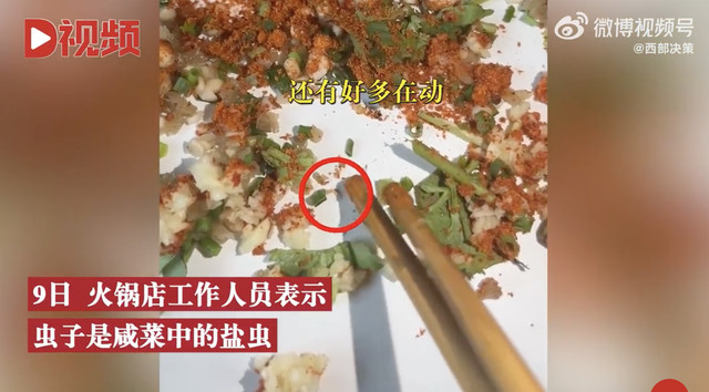 火锅小料中吃出活虫索赔10万,店家:已报警