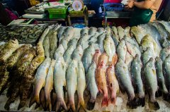 三亚海鲜餐饮行业出新规：监控视频至少保存3