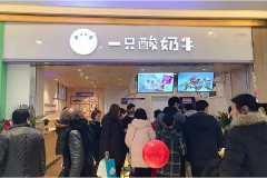 一只酸奶牛加盟费是多少_开一家加盟店需要投入