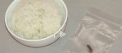 是个狠人！北京一男子口含蟑螂向多家餐饮店敲
