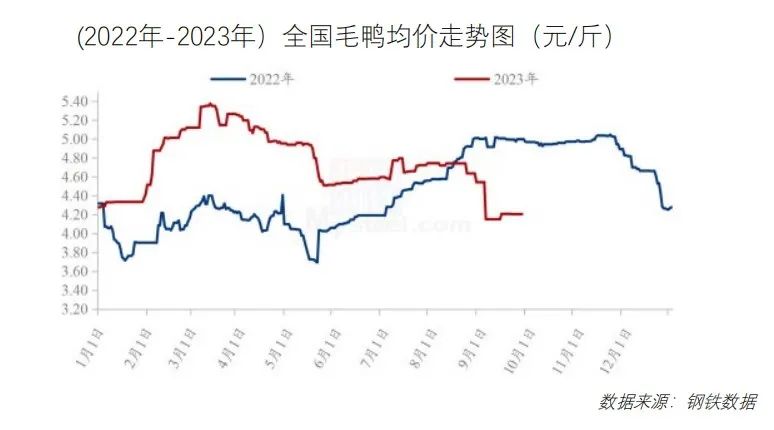 鸡鸭价格震荡下行！10月最新餐饮食材采购行情报告来了