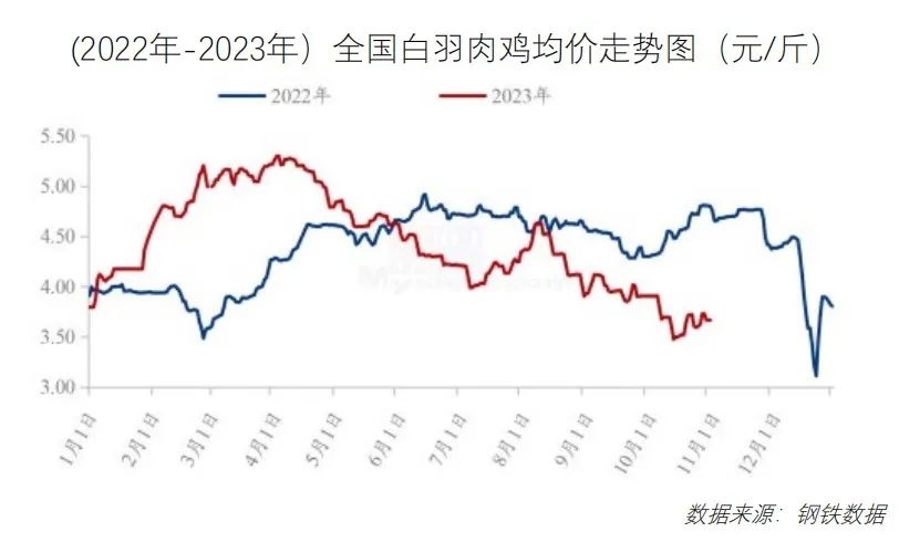 鸡鸭价格震荡下行！免费下载，最新食材采购行情报告
