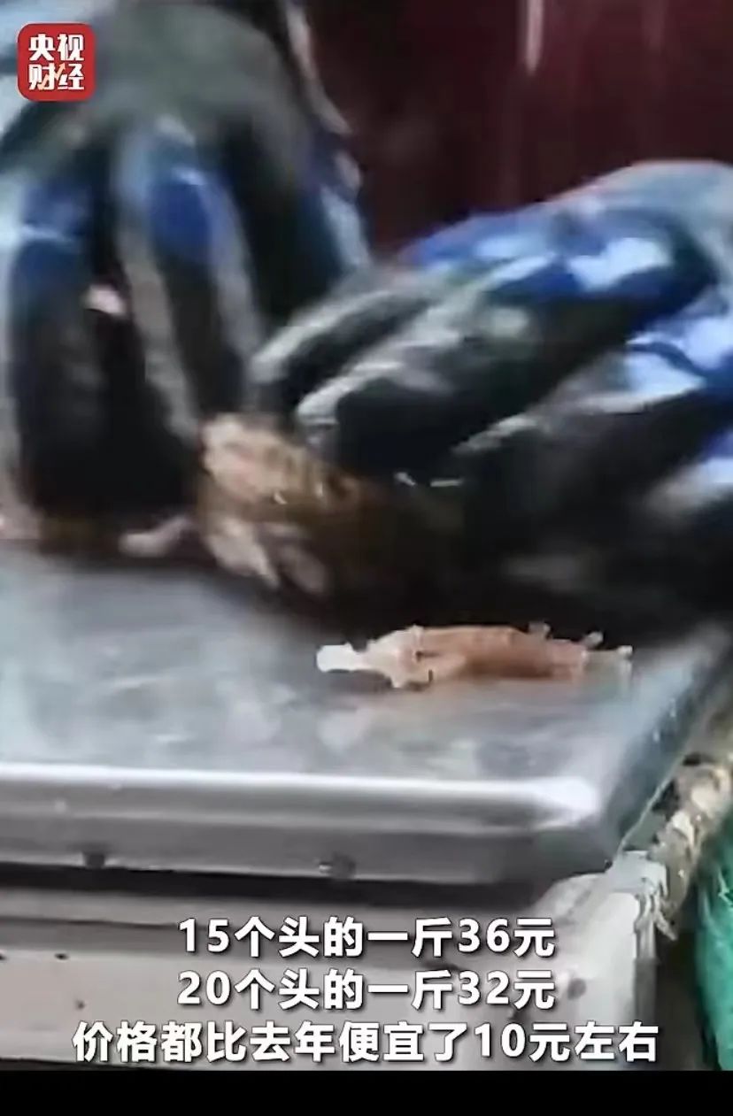 CFF20LXzkOyHmKUzQfBA1odODjiaaqNWvb02THzZOKPLicmsNXKnGuC5UMREHj8wgichgcn6ibtsd3hy4g2J8BMxog.jpg