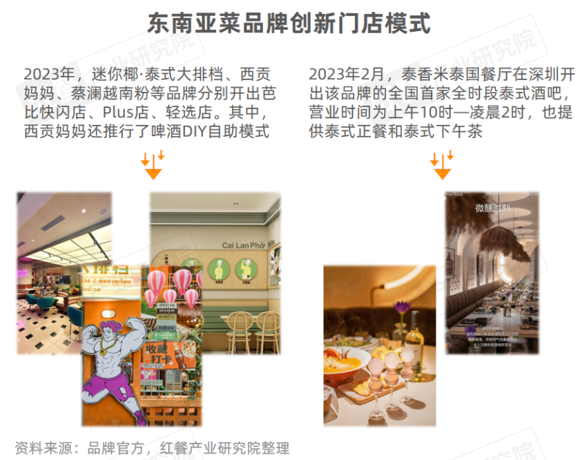 《东南亚菜发展报告2024》发布：泰国菜、越南菜被持续深挖