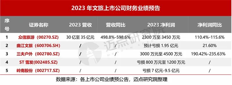 2023年文旅集团财务分析报告