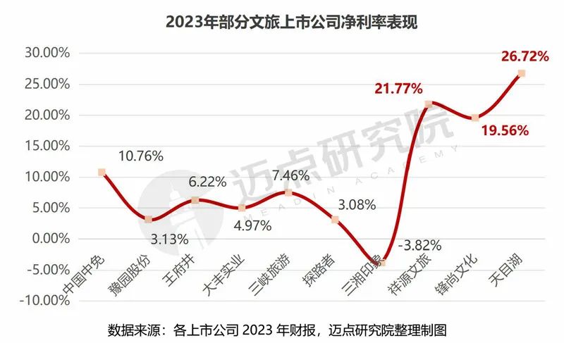 2023年文旅集团财务分析报告