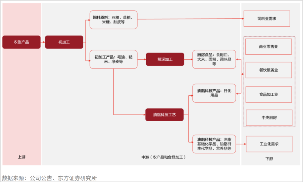 “脆皮”金龙鱼