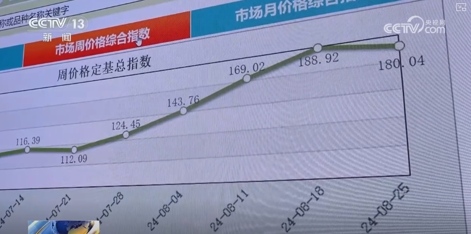 蔬菜买全国、卖全国！价格回落 “菜篮子”稳产保供有基础