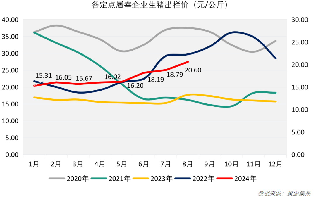 牛肉价格开始稳定！最新食材采购行情报告发布