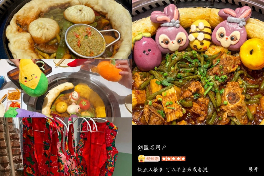 “大鹅先飞”！ 东北铁锅炖成南方游客雪季热搜美食